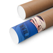 Himeno SE D17 Poster